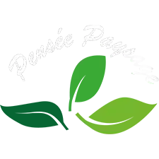 Logo de l'entreprise pensée paysage sebdygraph graphiste illustrateur normand