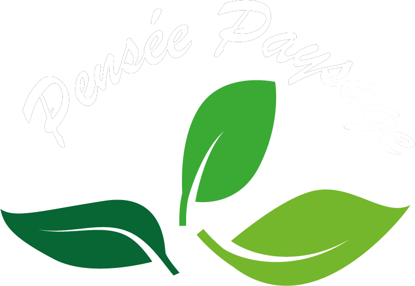 Logo de l'entreprise pensée paysage sebdygraph graphiste illustrateur normand